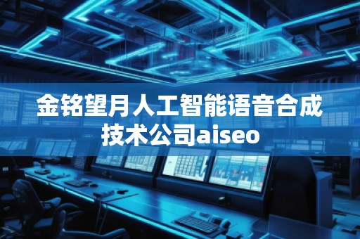 金銘望月人工智能語音合成技術公司aiseo 金銘望月人工智能語音合成技術公司aiseo