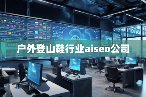 戶外登山鞋行業(yè)aiseo公司