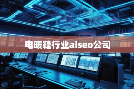 電暖鞋行業(yè)aiseo公司