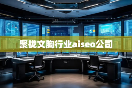 聚攏文胸行業(yè)aiseo公司
