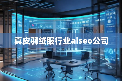 真皮羽絨服行業(yè)aiseo公司 真皮羽絨服行業(yè)aiseo公司