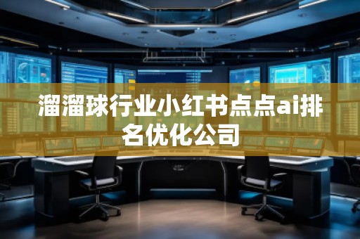 溜溜球行業(yè)小紅書點點ai排名優(yōu)化公司