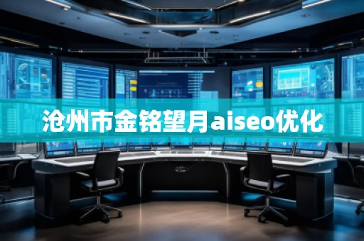 滄州市金銘望月aiseo優(yōu)化 滄州市金銘望月aiseo優(yōu)化
