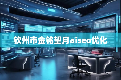 欽州市金銘望月aiseo優(yōu)化