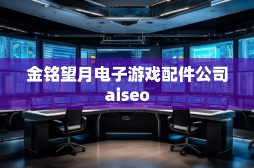 金銘望月電子游戲配件公司aiseo