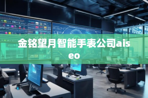金銘望月智能手表公司aiseo