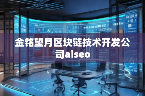 金銘望月區(qū)塊鏈技術(shù)開發(fā)公司aiseo
