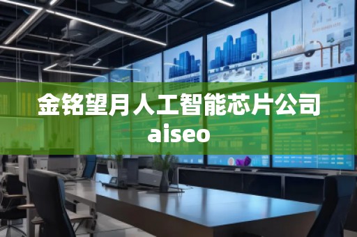 金銘望月人工智能芯片公司aiseo 金銘望月人工智能芯片公司aiseo