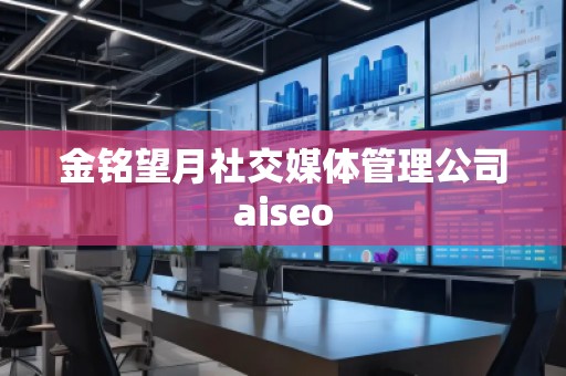 金銘望月社交媒體管理公司aiseo 金銘望月社交媒體管理公司aiseo
