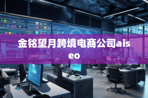 金銘望月跨境電商公司aiseo 金銘望月跨境電商公司aiseo