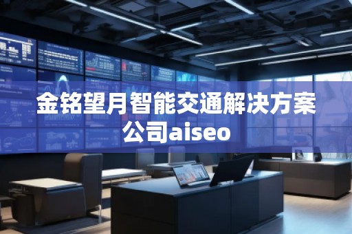 金銘望月智能交通解決方案公司aiseo