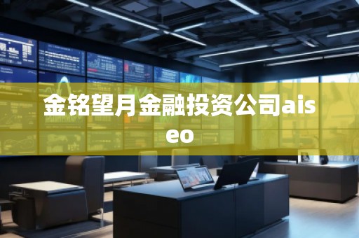金銘望月金融投資公司aiseo 金銘望月金融投資公司aiseo