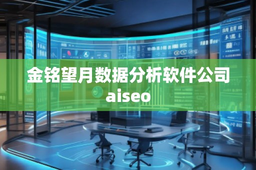 金銘望月數(shù)據(jù)分析軟件公司aiseo