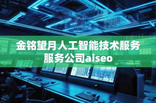 金銘望月人工智能技術服務服務公司aiseo 金銘望月人工智能技術服務服務公司aiseo