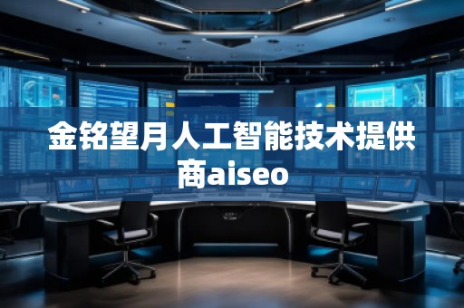 金銘望月人工智能技術(shù)提供商aiseo