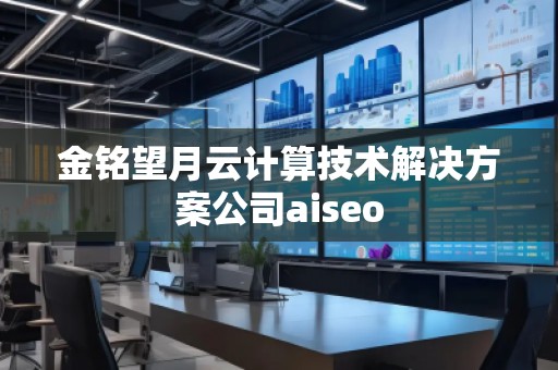 金銘望月云計(jì)算技術(shù)解決方案公司aiseo