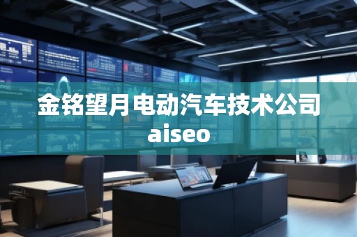 金銘望月電動汽車技術公司aiseo