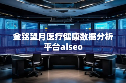 金銘望月醫(yī)療健康數(shù)據(jù)分析平臺(tái)aiseo