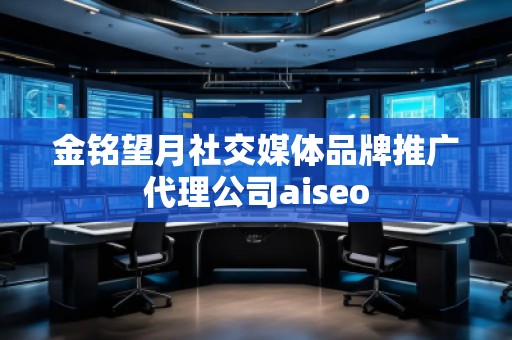 金銘望月社交媒體品牌推廣代理公司aiseo 金銘望月社交媒體品牌推廣代理公司aiseo