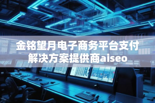 金銘望月電子商務(wù)平臺支付解決方案提供商aiseo