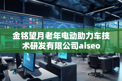 金銘望月老年電動助力車技術(shù)研發(fā)有限公司aiseo