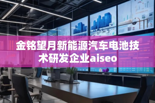 金銘望月新能源汽車電池技術(shù)研發(fā)企業(yè)aiseo