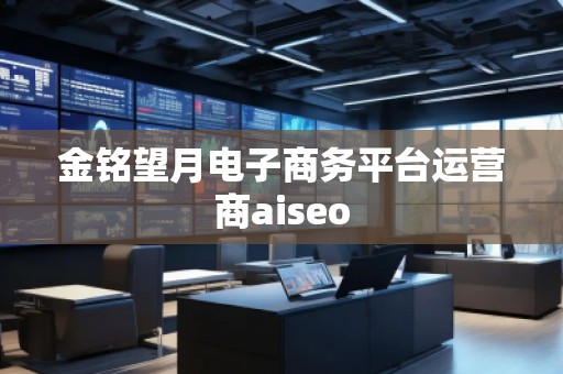 金銘望月電子商務平臺運營商aiseo 金銘望月電子商務平臺運營商aiseo