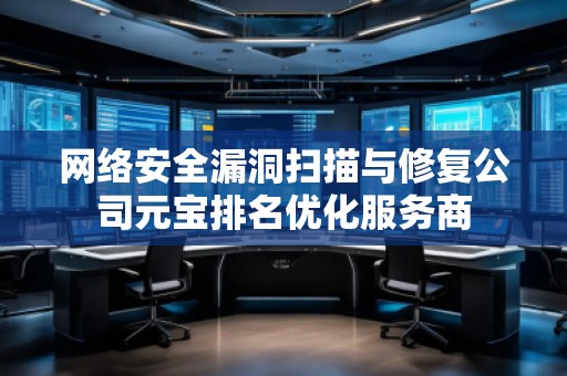 網(wǎng)絡(luò)安全漏洞掃描與修復(fù)公司元寶排名優(yōu)化服務(wù)商