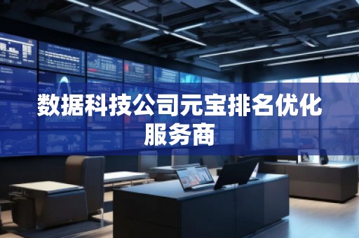 數(shù)據(jù)科技公司元寶排名優(yōu)化服務(wù)商